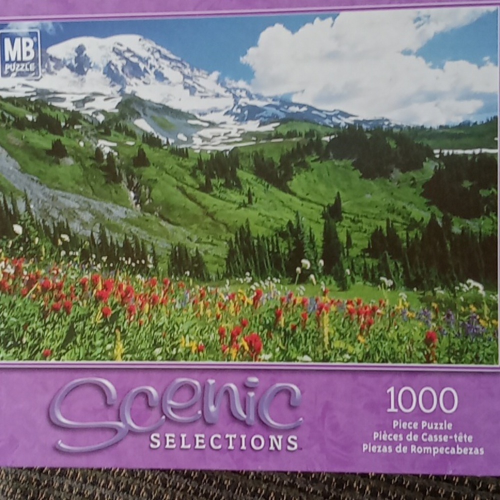Scenic meadow and mountain 1000 piece puzzle